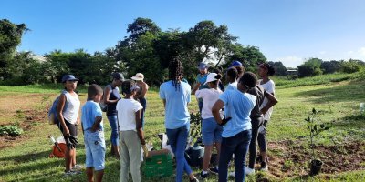 JARDINS PARTAGÉS OU COLLECTIFS DE CRÂNE