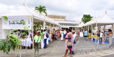 Fête du Fruit a pain