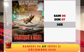 Le programme des films au Ciné-Théâtre de Lamentin