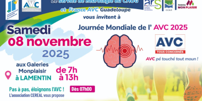 Journée mondiale de l'AVC