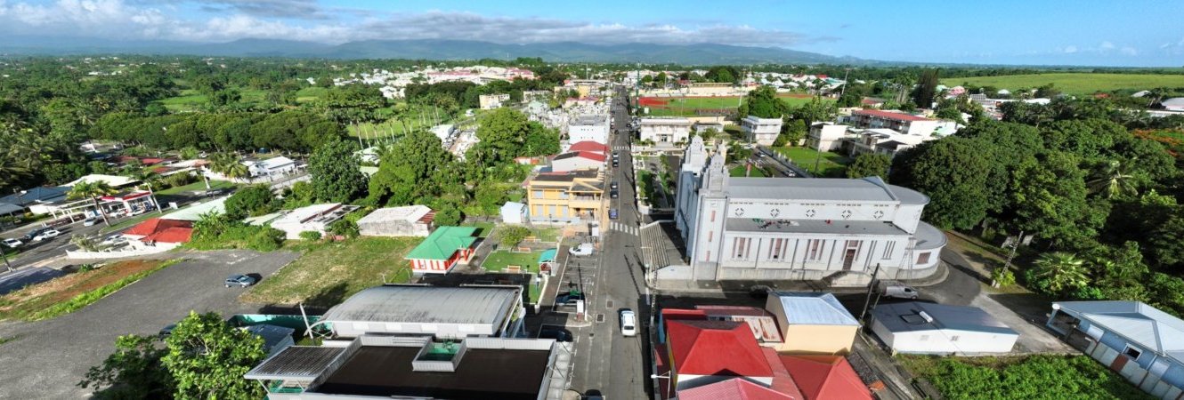Etude de la faune du bourg
