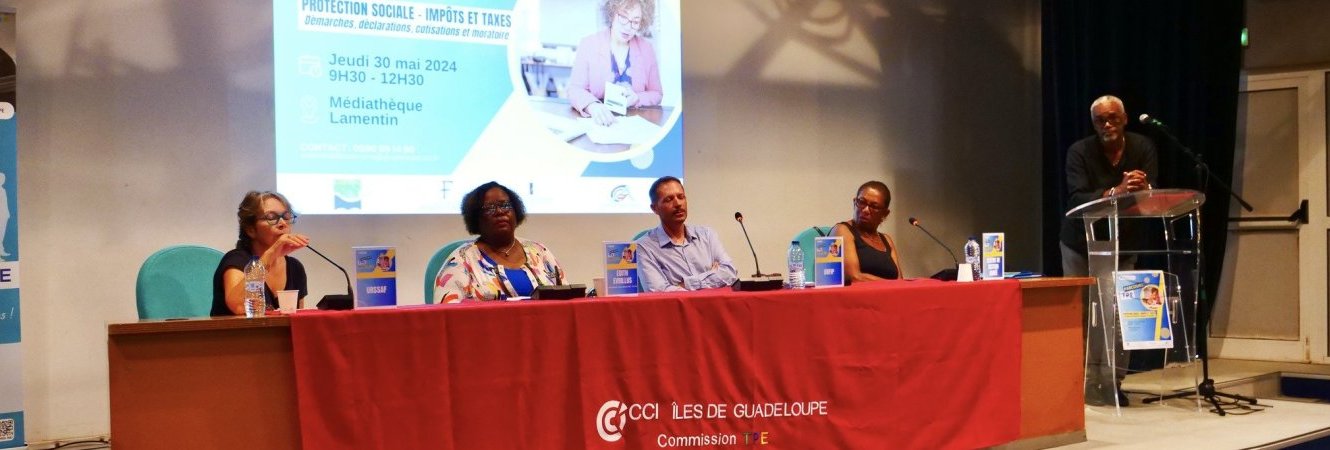 Protection sociale, Impôts et Taxes