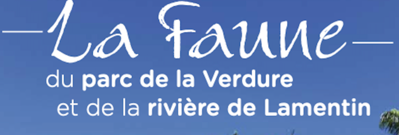 Concours outre-mer durable