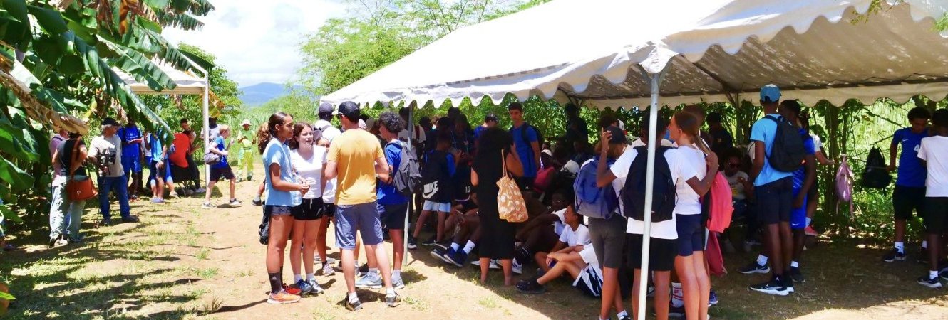 Exploitation bioprod