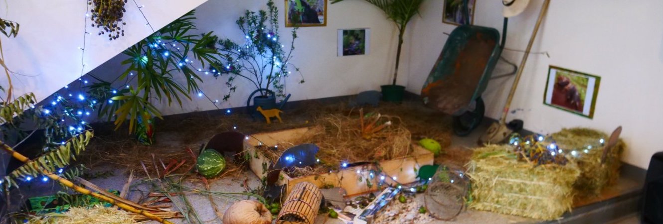 Retour sur le samedi 24 janvier – Nuits de la lecture 2026 