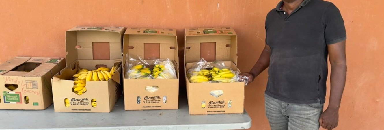 Offre aux enfants des bananes
