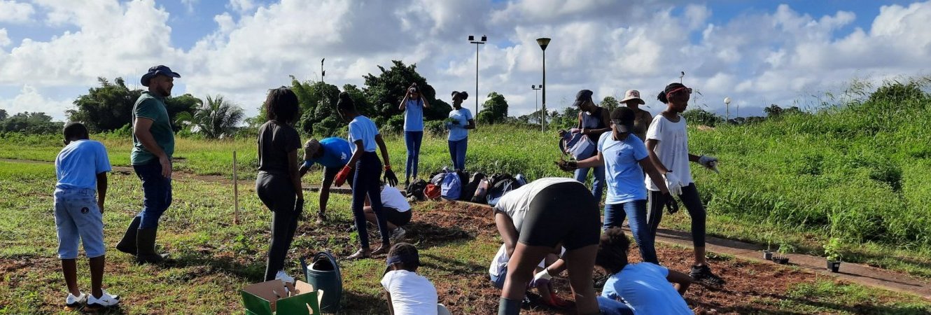 Jardins partagés ou collectifs