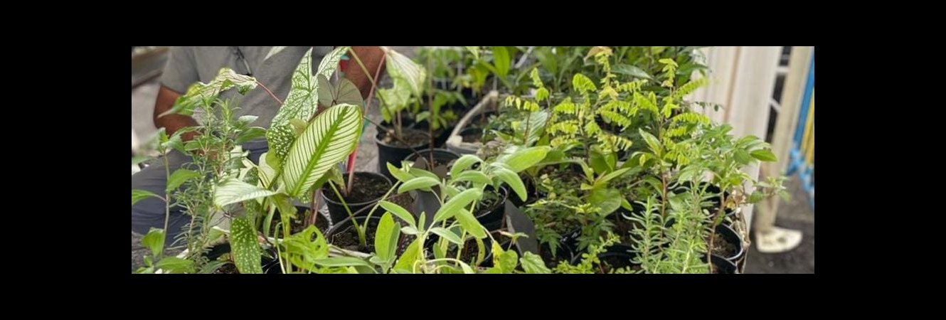 Festi' Marché - mois de Mars