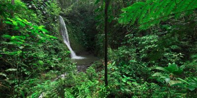 Développement durable à Lamentin