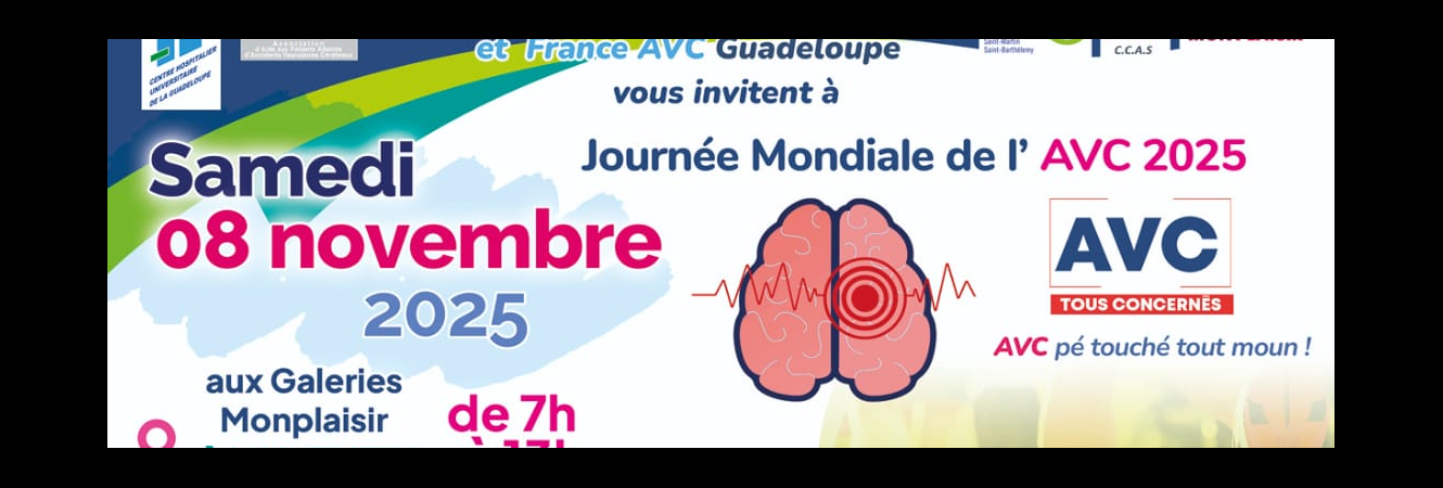 Journée mondiale de l'AVC
