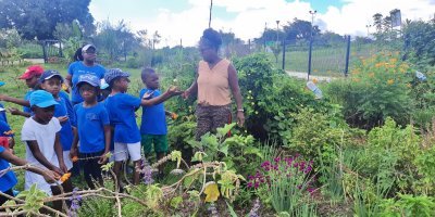 Jardins partagés de Crâne
