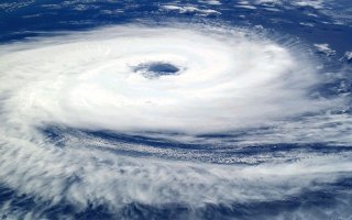 Saison cyclonique 2024 - Nécessité d'élagage