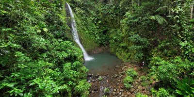 Une balade à la Chute de Bois Banane