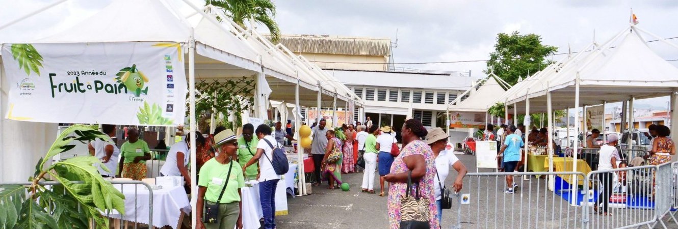 Fête du Fruit a pain