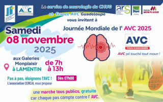 Journée mondiale de l'AVC