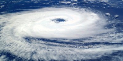 Saison cyclonique 2024 - Nécessité d'élagage