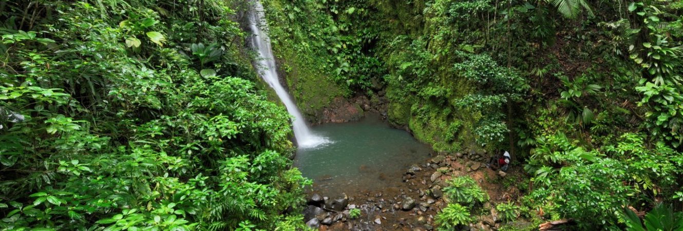 Une balade à la Chute de Bois Banane
