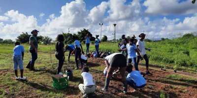 Jardins partagés ou collectifs