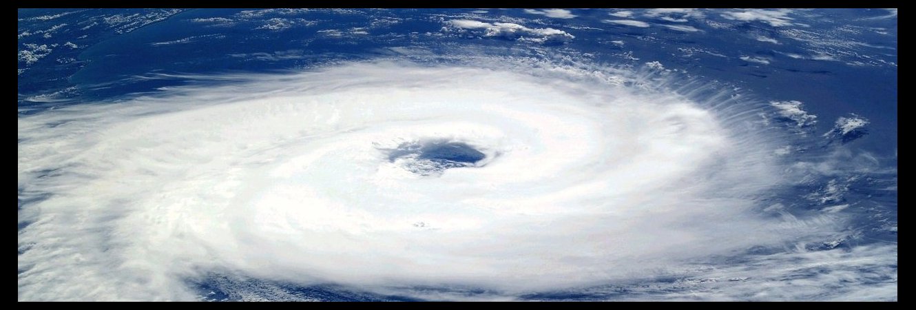 Saison cyclonique 2024 - Nécessité d'élagage